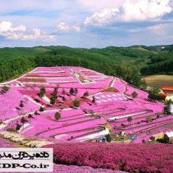 نعمت های معنوی بهشت و بهشتیان بهشت