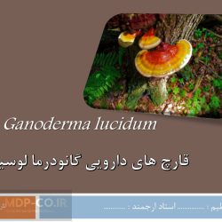 قارچ های دارویی گانودرما لوسیدوم